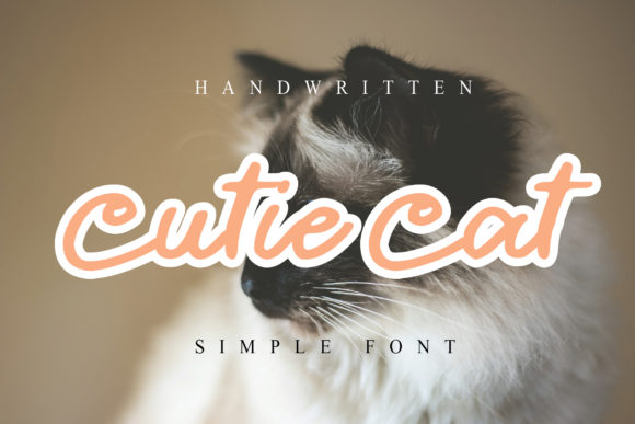 Bring Charm to Your Creations with Cutie Cat Font
