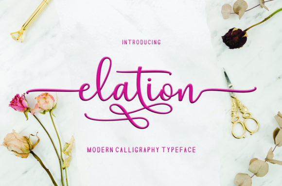 Discover Elation: A Versatile Duo Font for Web Design