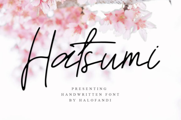 Elevate Your Web Design with Hatsumi Font