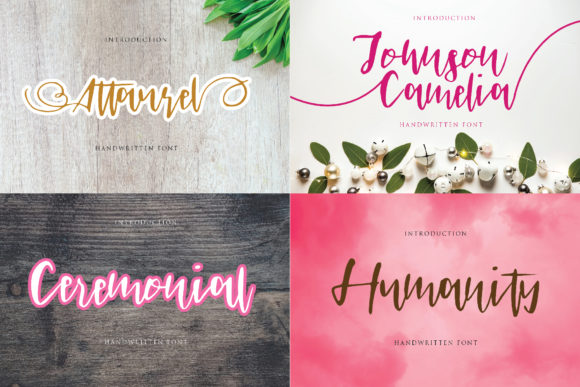 Johnson Camelia: A Handwritten Font for Modern Branding